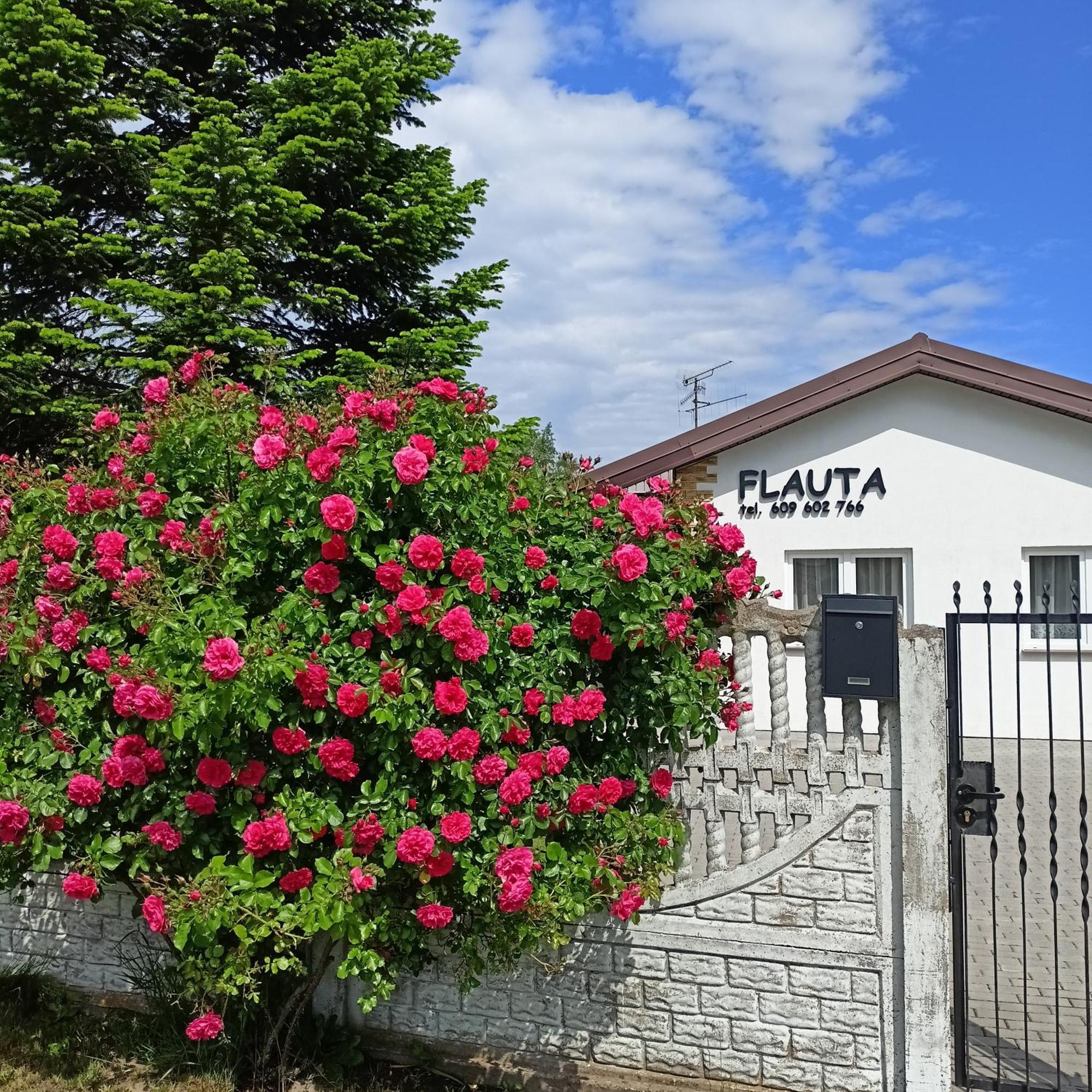 Flauta Apartamenty Rodzinne Mielenko Extérieur photo